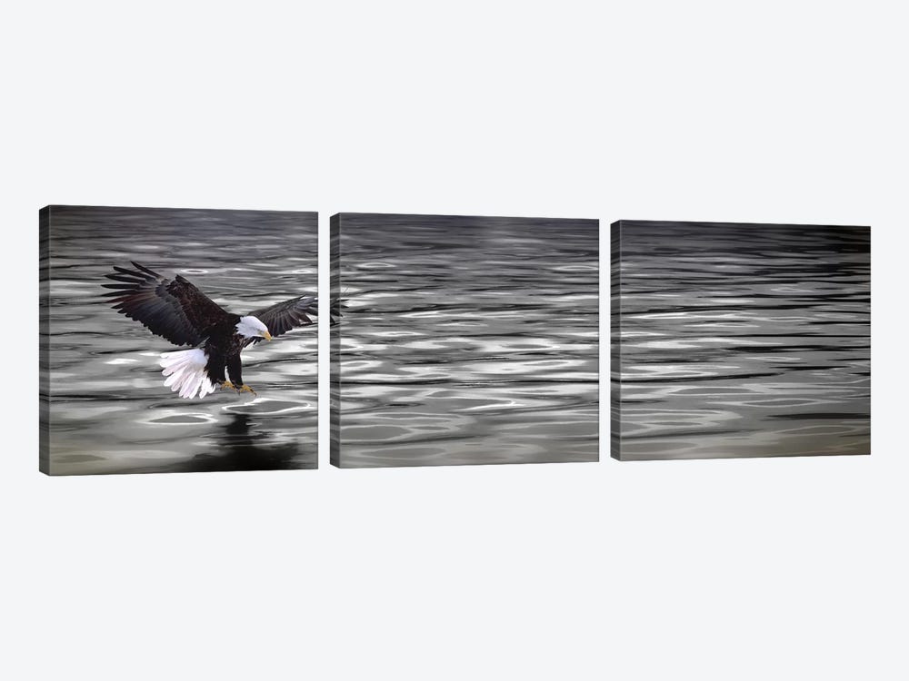 Eagle over water by Panoramic Images 3-piece Canvas Art