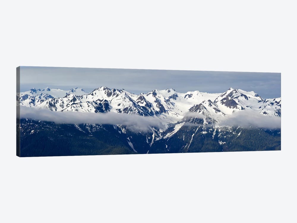 Snow covered mountains, Hurricane Ridge, Olympic National Park, Washington State, USA by Panoramic Images 1-piece Canvas Artwork