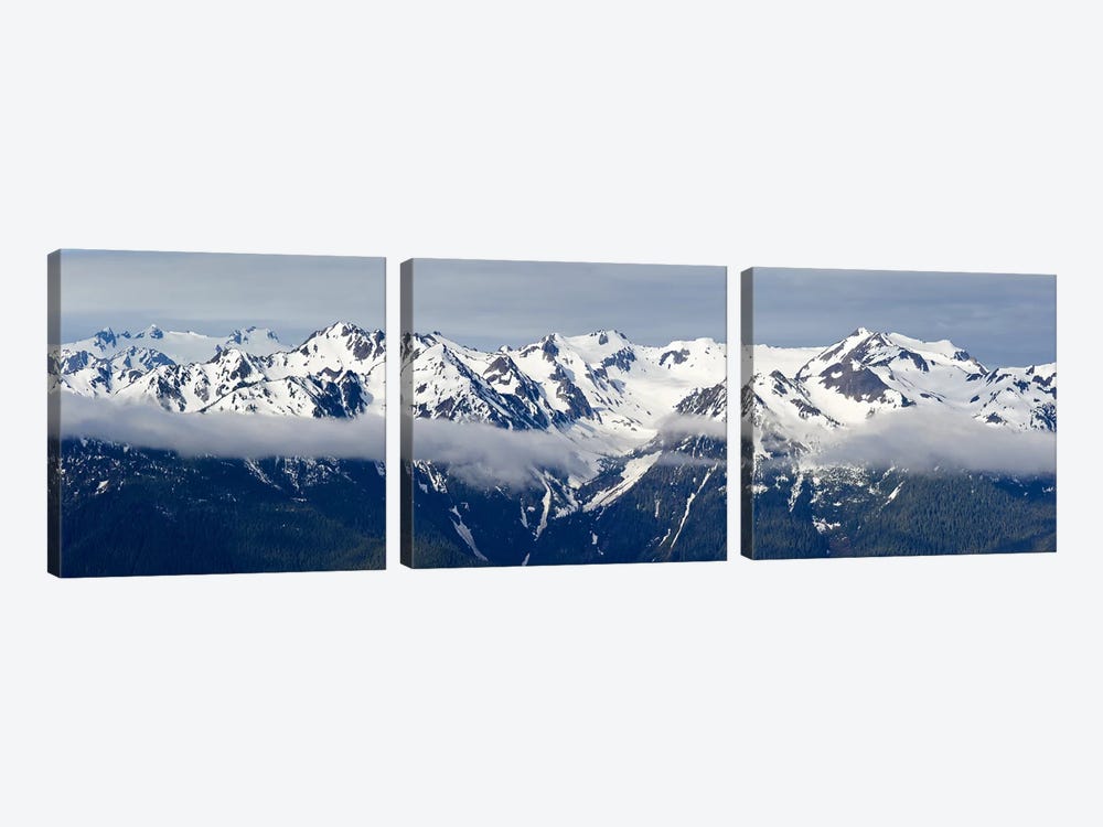 Snow covered mountains, Hurricane Ridge, Olympic National Park, Washington State, USA by Panoramic Images 3-piece Canvas Art