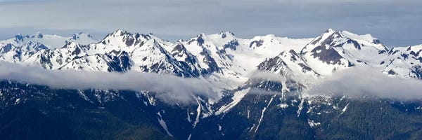Large Photography - Canvas Prints: Snow covered mountains, Hurricane Ridge, Olympic National Park, Washington State, USA by Panoramic Images