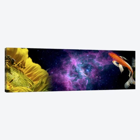 Sunflower and Koi Carp in space Canvas Print #PIM10226} by Panoramic Images Canvas Art Print