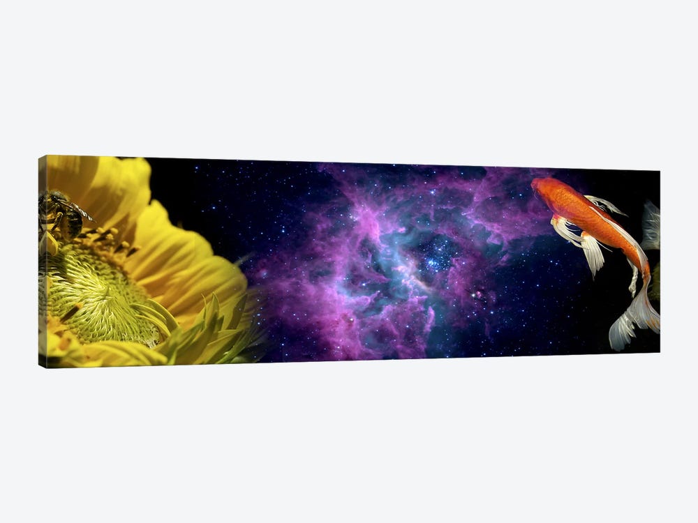 Sunflower and Koi Carp in space by Panoramic Images 1-piece Canvas Print