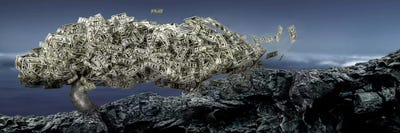 Money tree by Panoramic Images framed canvas print