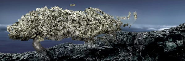 Money: Money tree by Panoramic Images