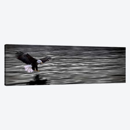 Eagle over water Canvas Print #PIM10256} by Panoramic Images Canvas Wall Art