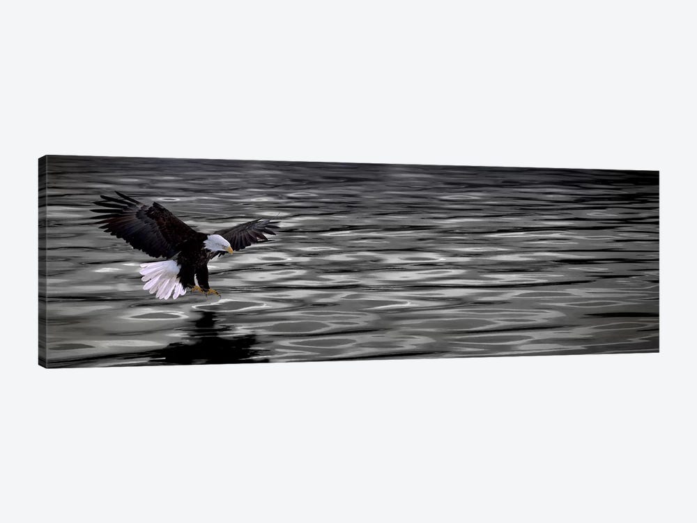 Eagle over water by Panoramic Images 1-piece Canvas Art