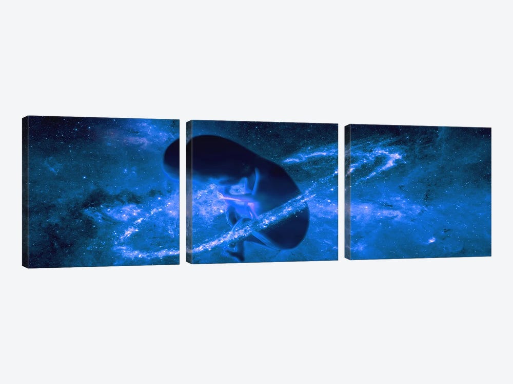 Baby in universe by Panoramic Images 3-piece Art Print