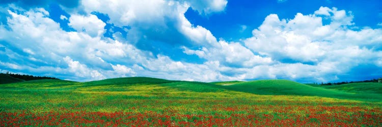 Open Field, Tuscany, Italy