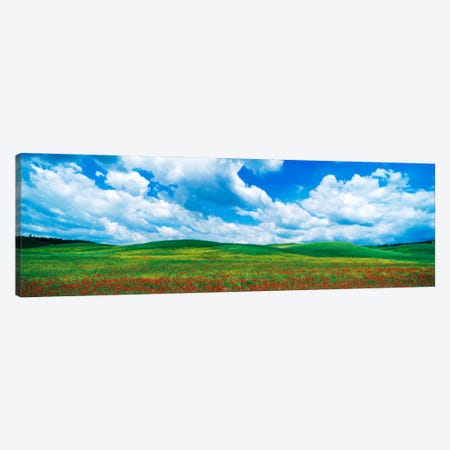 Open Field, Tuscany, Italy Canvas Print #PIM1027} by Panoramic Images Canvas Wall Art