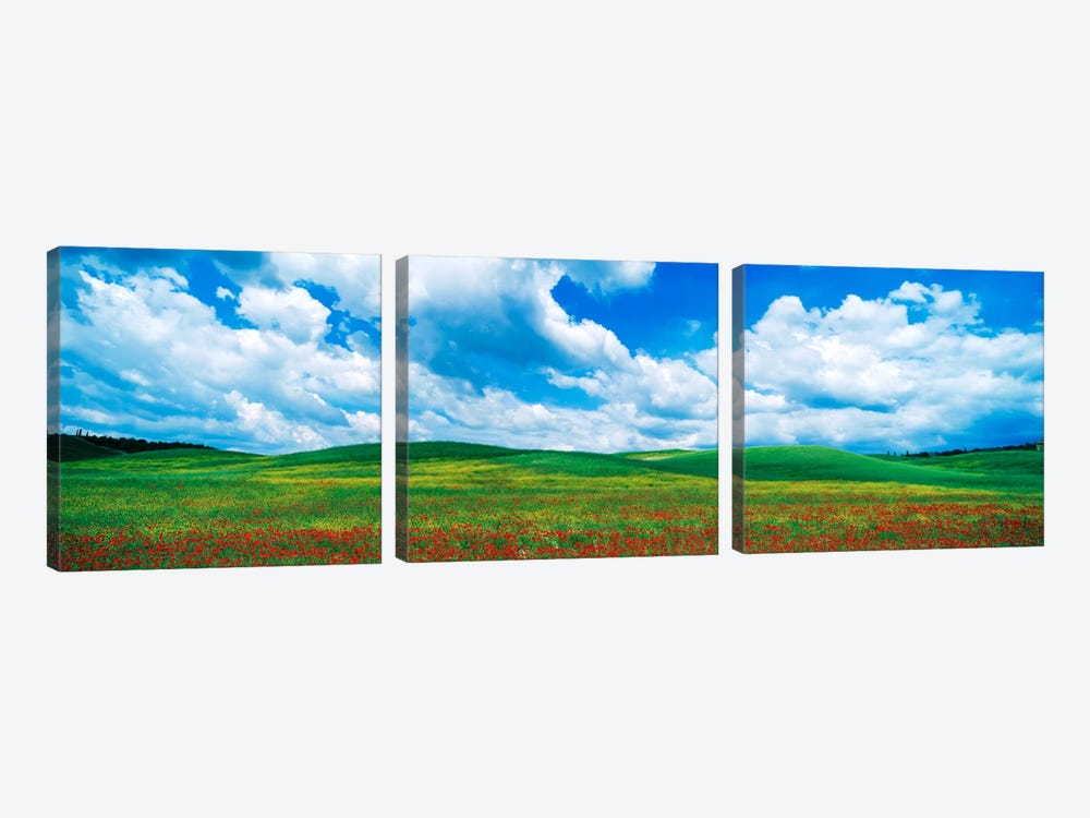 Open Field, Tuscany, Italy by Panoramic Images 3-piece Canvas Print