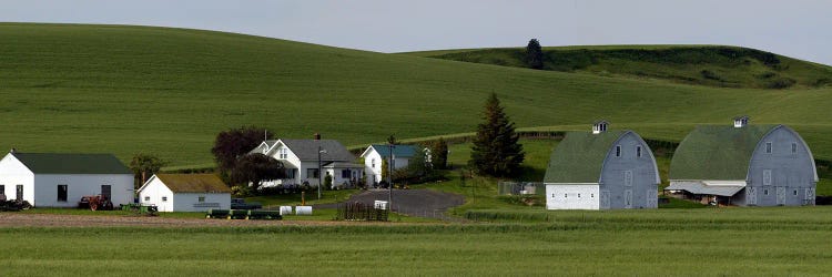 Farm with double barns in wheat fields, Washington State, USA