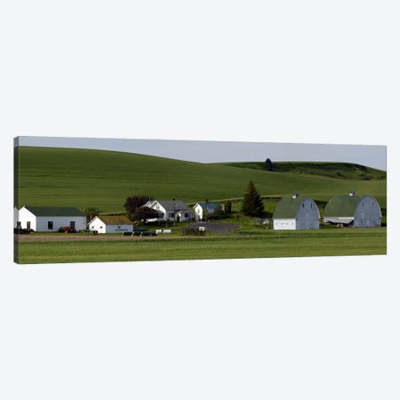 Farm with double barns in wheat fields, Washington State, USA Canvas Print #PIM10303} by Panoramic Images Canvas Art Print