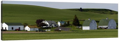 Farm with double barns in wheat fields, Washington State, USA Canvas Art Print