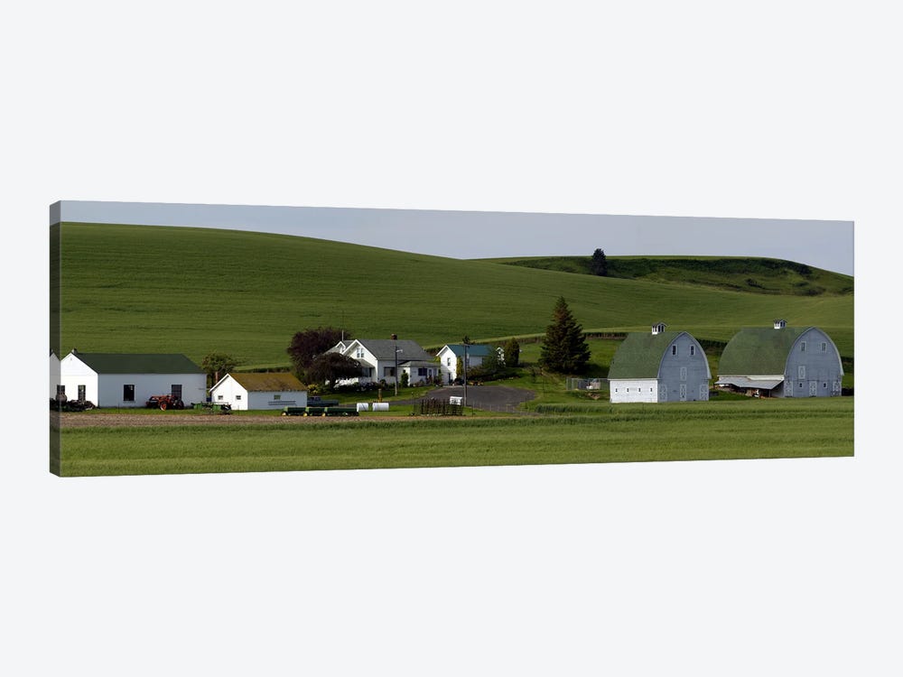Farm with double barns in wheat fields, Washington State, USA by Panoramic Images 1-piece Canvas Art Print