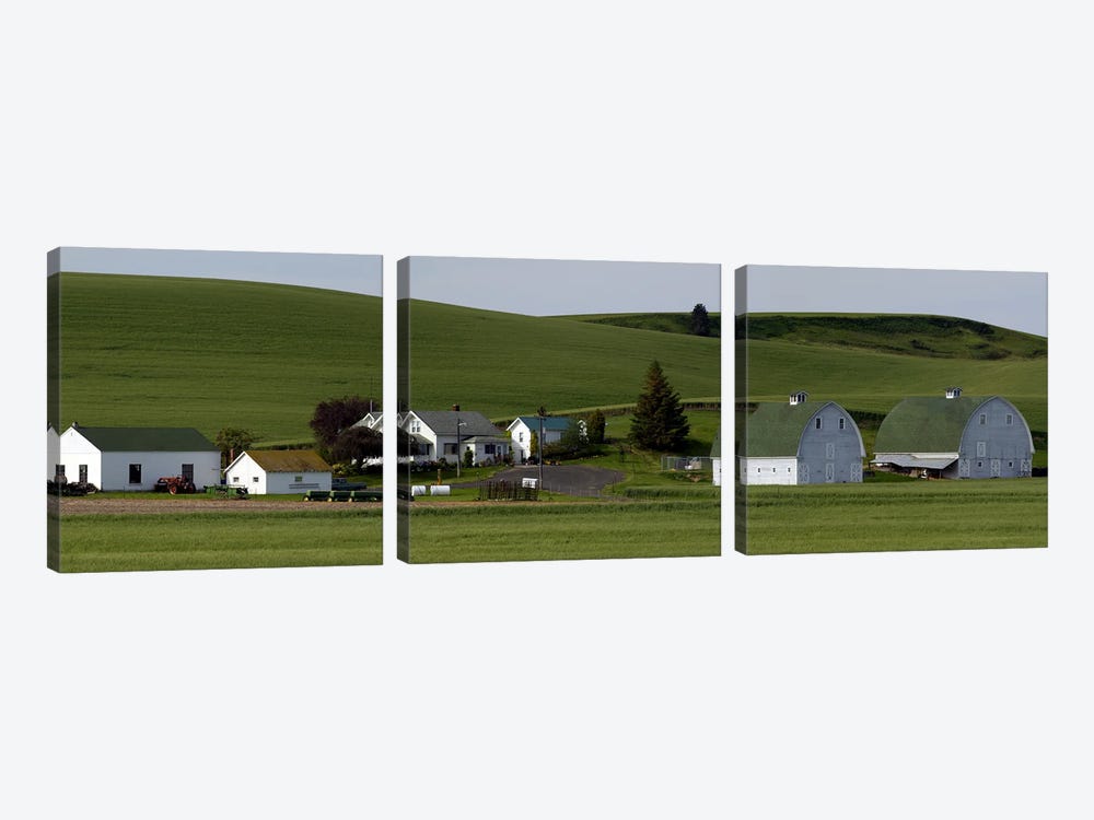 Farm with double barns in wheat fields, Washington State, USA by Panoramic Images 3-piece Canvas Print