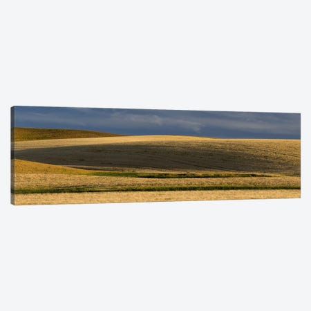Wheat field, Palouse, Washington State, USA Canvas Print #PIM10316} by Panoramic Images Canvas Art Print