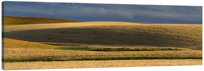 Wheat field, Palouse, Washington State, USA Canvas Art Print - Hill & Hillside Art