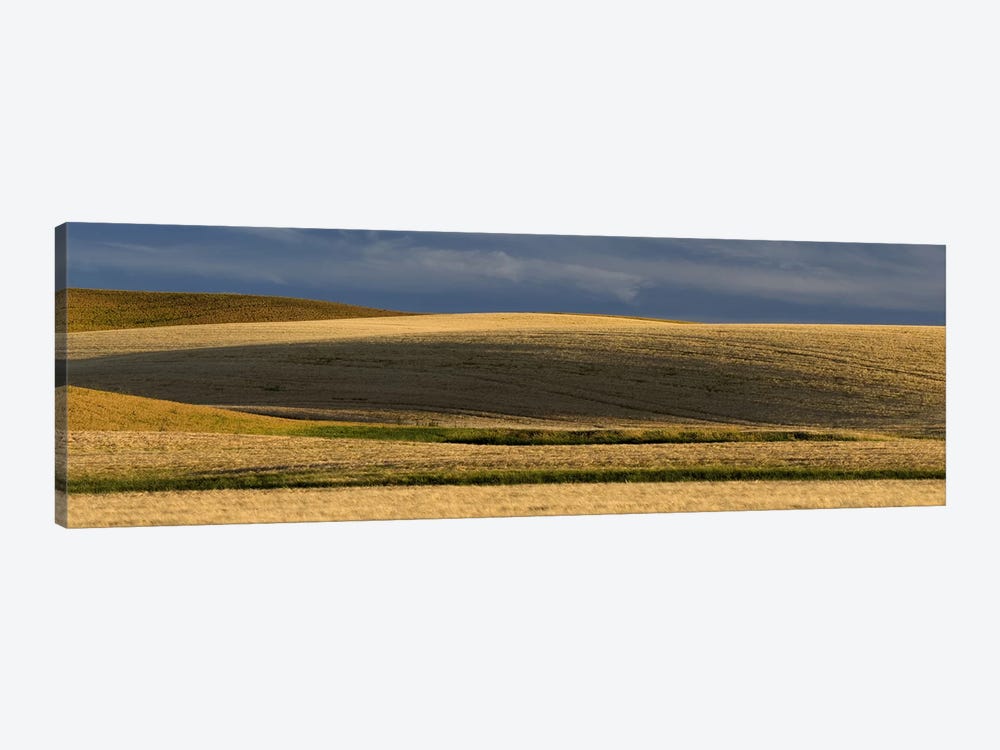 Wheat field, Palouse, Washington State, USA by Panoramic Images 1-piece Canvas Print