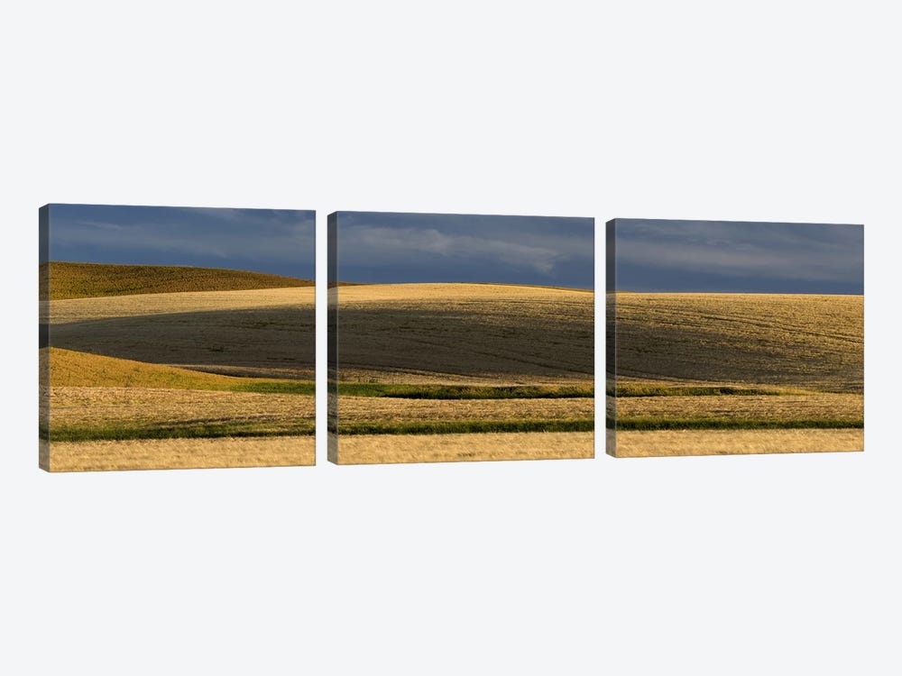 Wheat field, Palouse, Washington State, USA by Panoramic Images 3-piece Canvas Art Print