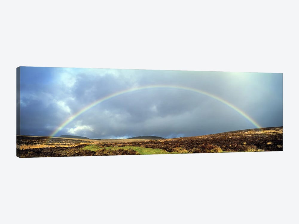 Rainbow above Fernworthy Forest, Dartmoor, Devon, England by Panoramic Images 1-piece Art Print