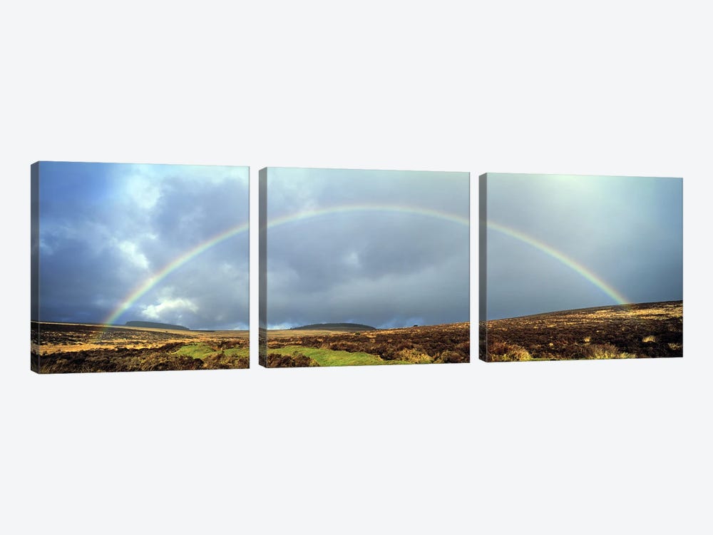Rainbow above Fernworthy Forest, Dartmoor, Devon, England by Panoramic Images 3-piece Art Print
