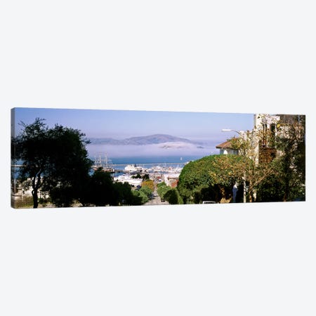 Trees along the Hyde Street, San Francisco, California, USA Canvas Print #PIM10422} by Panoramic Images Canvas Art