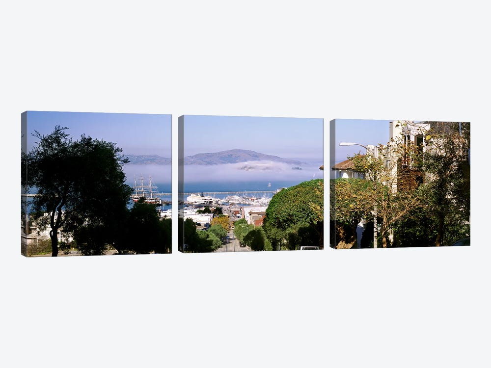 Trees along the Hyde Street, San Francisco, California, USA by Panoramic Images 3-piece Canvas Print
