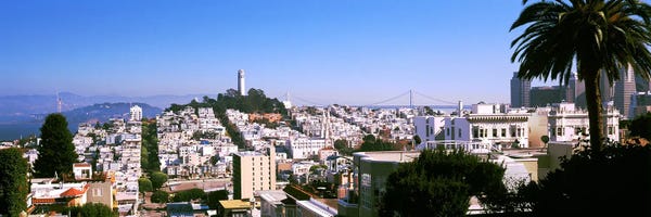 San Francisco: High angle view of buildings in a city, Russian Hill, San Francisco, California, USA by Panoramic Images