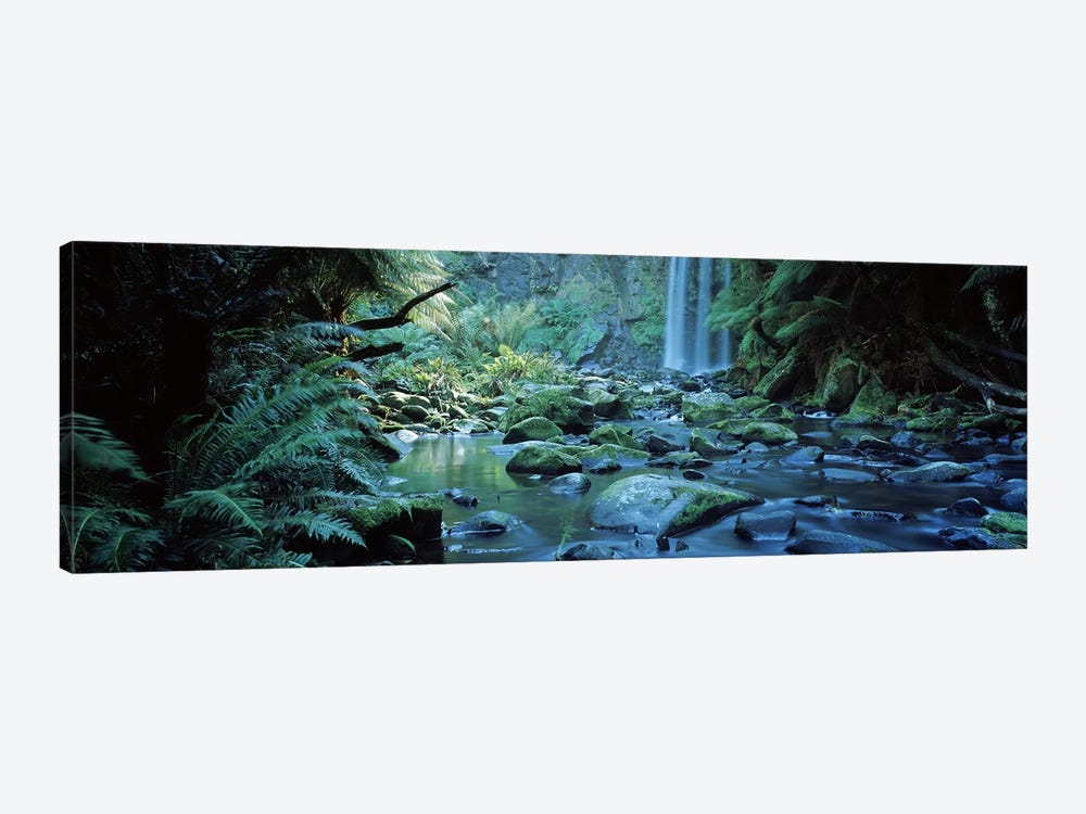 Waterfall in a forest, Hopetown Falls, Great Ocean Road, Otway Ranges National Park, Victoria, Australia by Panoramic Images 1-piece Canvas Art Print