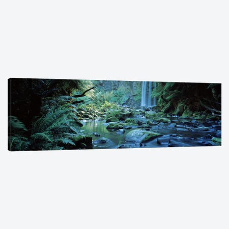 Waterfall in a forest, Hopetown Falls, Great Ocean Road, Otway Ranges National Park, Victoria, Australia Canvas Print #PIM10457} by Panoramic Images Canvas Art