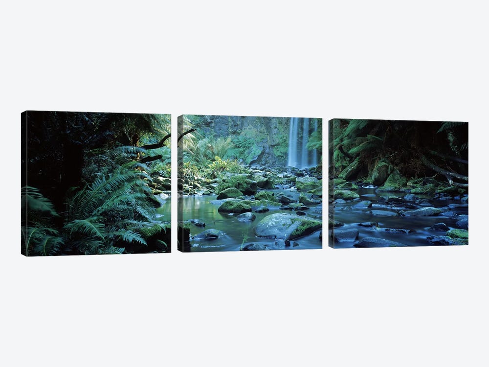 Waterfall in a forest, Hopetown Falls, Great Ocean Road, Otway Ranges National Park, Victoria, Australia by Panoramic Images 3-piece Canvas Print