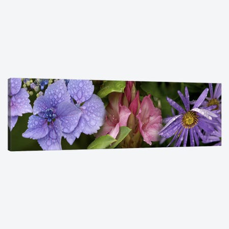 Close-up of flowers Canvas Print #PIM10529} by Panoramic Images Canvas Print