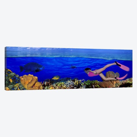 Underwater View Of A Diver Along A Reef Marine Ecosystem Canvas Print #PIM10562} by Panoramic Images Canvas Print
