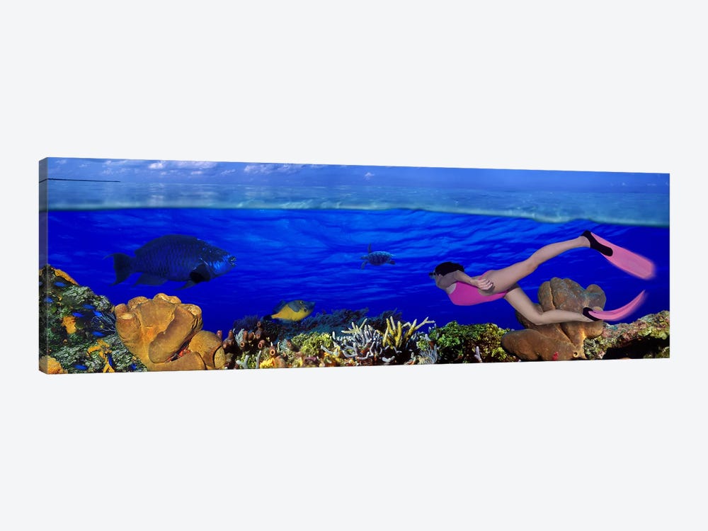 Underwater View Of A Diver Along A Reef Marine Ecosystem by Panoramic Images 1-piece Canvas Art