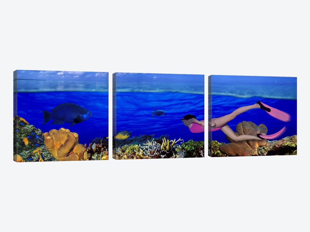 Underwater View Of A Diver Along A Reef Marine Ecosystem by Panoramic Images 3-piece Canvas Artwork