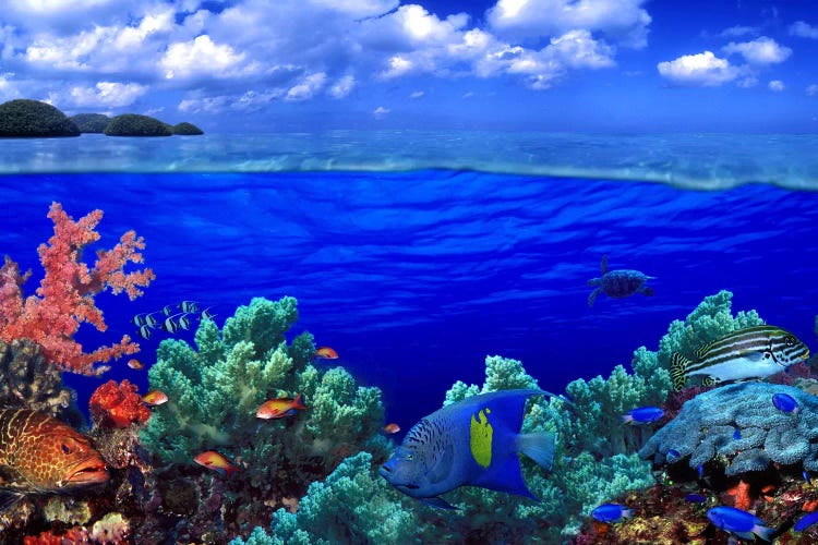 Cloudy Seascape With An Underwater View Of A Reef Marine Ecosystem