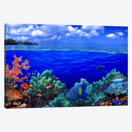 Cloudy Seascape With An Underwater View Of A Reef Marine Ecosystem Canvas Print #PIM10566} by Panoramic Images Canvas Art