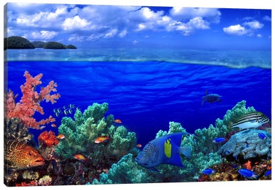 Cloudy Seascape With An Underwater View Of A Reef Marine Ecosystem Canvas Art Print - Coral Art