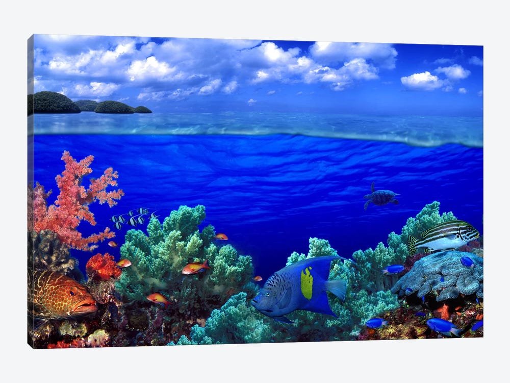 Cloudy Seascape With An Underwater View Of A Reef Marine Ecosystem by Panoramic Images 1-piece Canvas Wall Art