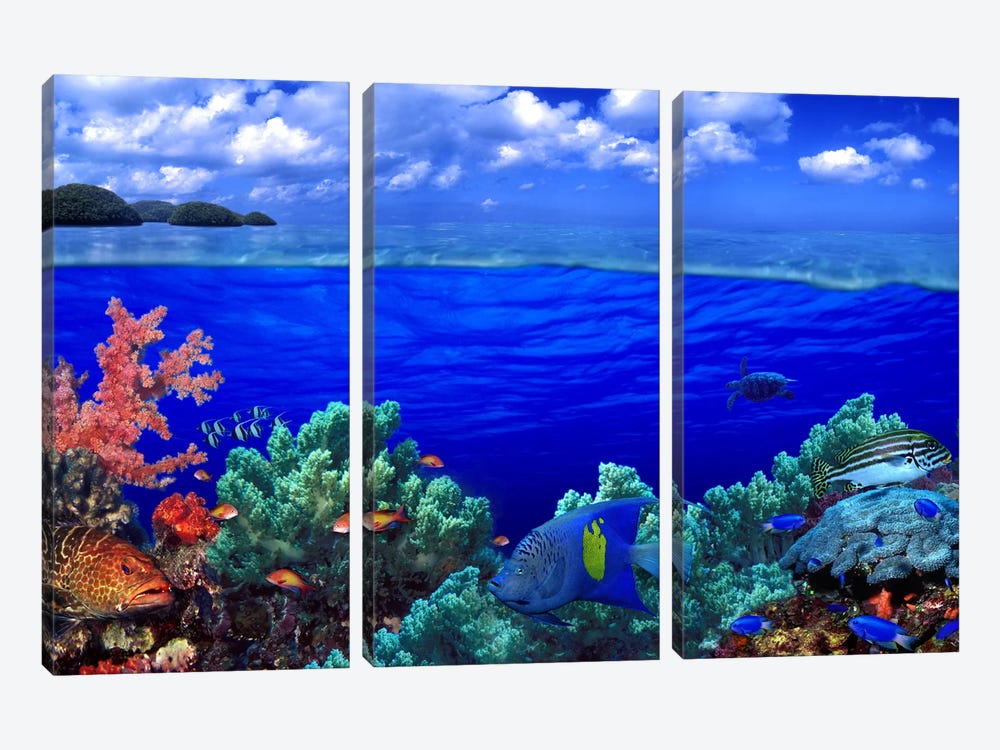 Cloudy Seascape With An Underwater View Of A Reef Marine Ecosystem by Panoramic Images 3-piece Canvas Wall Art