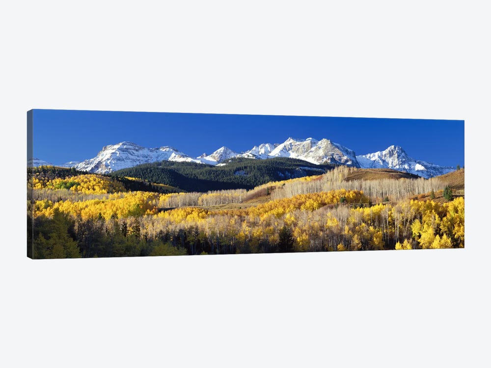 Autumn Landscape, Rocky Mountains, Colorado, USA by Panoramic Images 1-piece Canvas Wall Art
