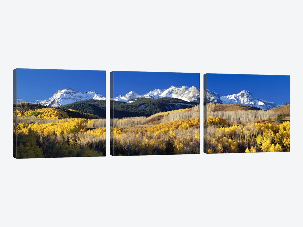 Autumn Landscape, Rocky Mountains, Colorado, USA by Panoramic Images 3-piece Canvas Artwork