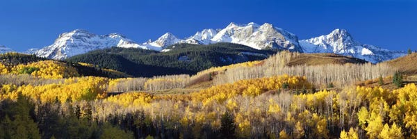 Rocky Mountains: Autumn Landscape, Rocky Mountains, Colorado, USA by Panoramic Images