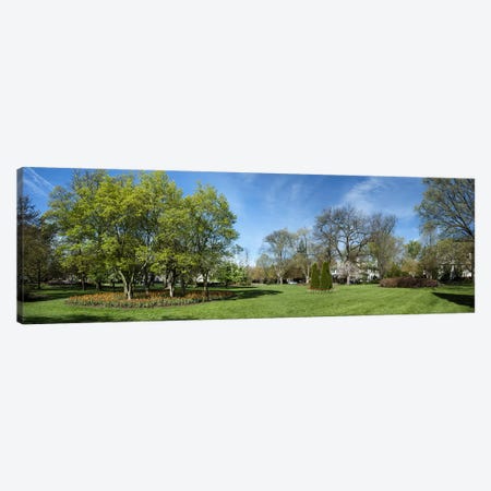 Tulips with trees at Sherwood Gardens, Baltimore, Maryland, USA Canvas Print #PIM10689} by Panoramic Images Canvas Wall Art