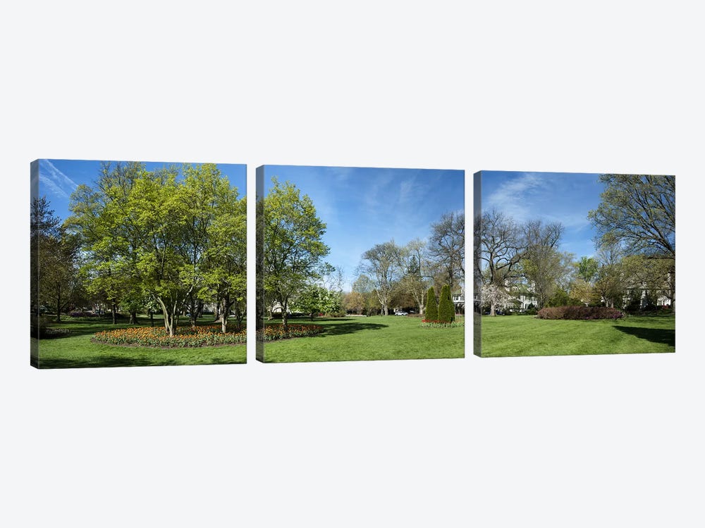 Tulips with trees at Sherwood Gardens, Baltimore, Maryland, USA by Panoramic Images 3-piece Art Print