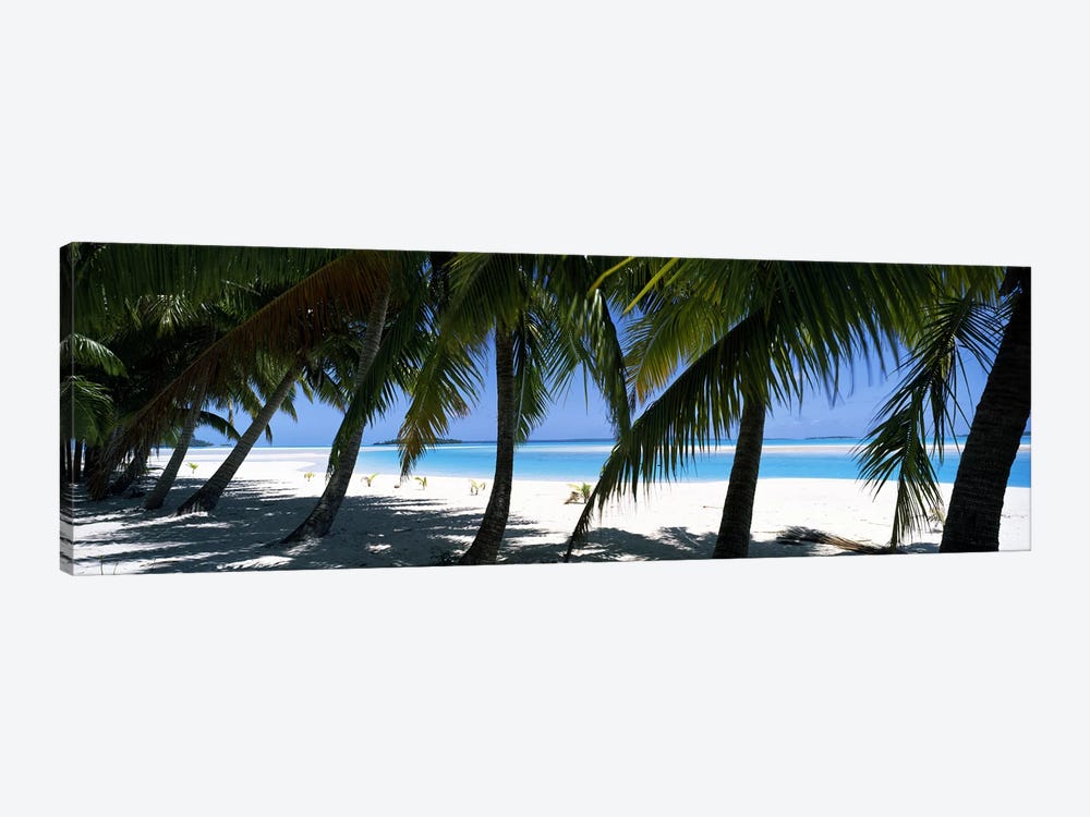 Palm trees on the beach, Aitutaki, Cook Islands by Panoramic Images 1-piece Canvas Wall Art