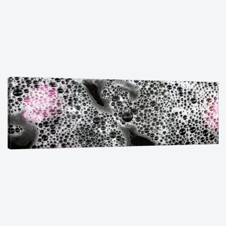 Bubbles and pink flower petals Canvas Print #PIM10735} by Panoramic Images Canvas Art Print