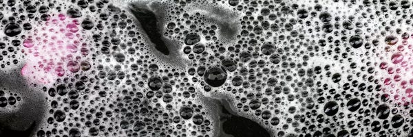 Water Close-Ups: Bubbles and pink flower petals by Panoramic Images