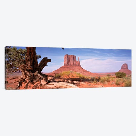 West And East Mitten Buttes (The Mittens) With A Gnarled Tree Trunk In The Foreground, Monument Valley, Navajo Nation, USA Canvas Print #PIM1078} by Panoramic Images Canvas Art