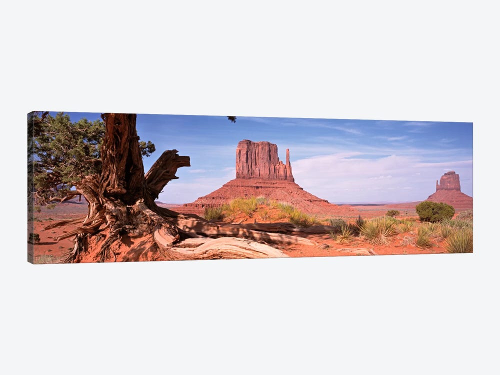 West And East Mitten Buttes (The Mittens) With A Gnarled Tree Trunk In The Foreground, Monument Valley, Navajo Nation, USA by Panoramic Images 1-piece Canvas Print